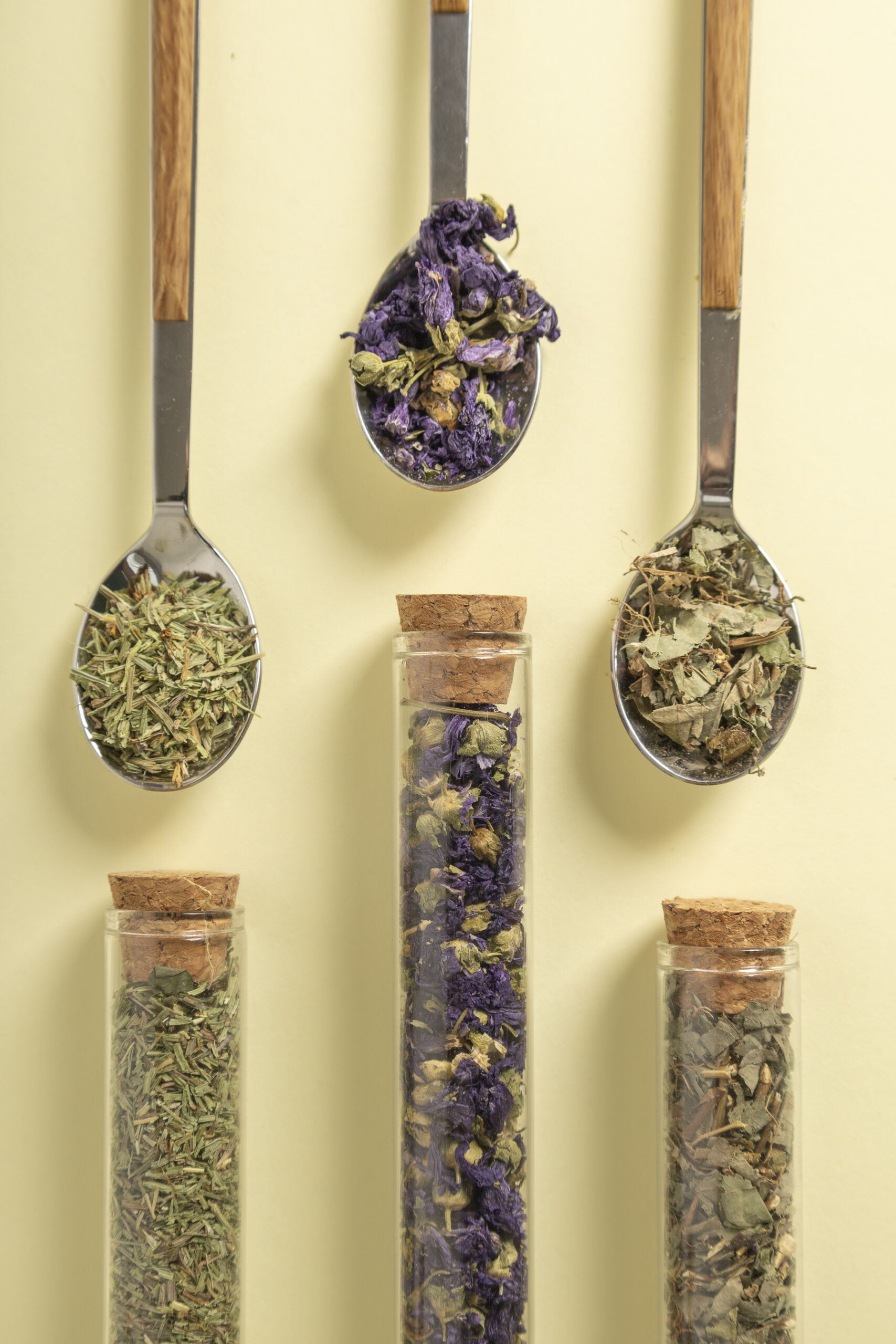 IKIGAI RITUALS STORE - imagen 8