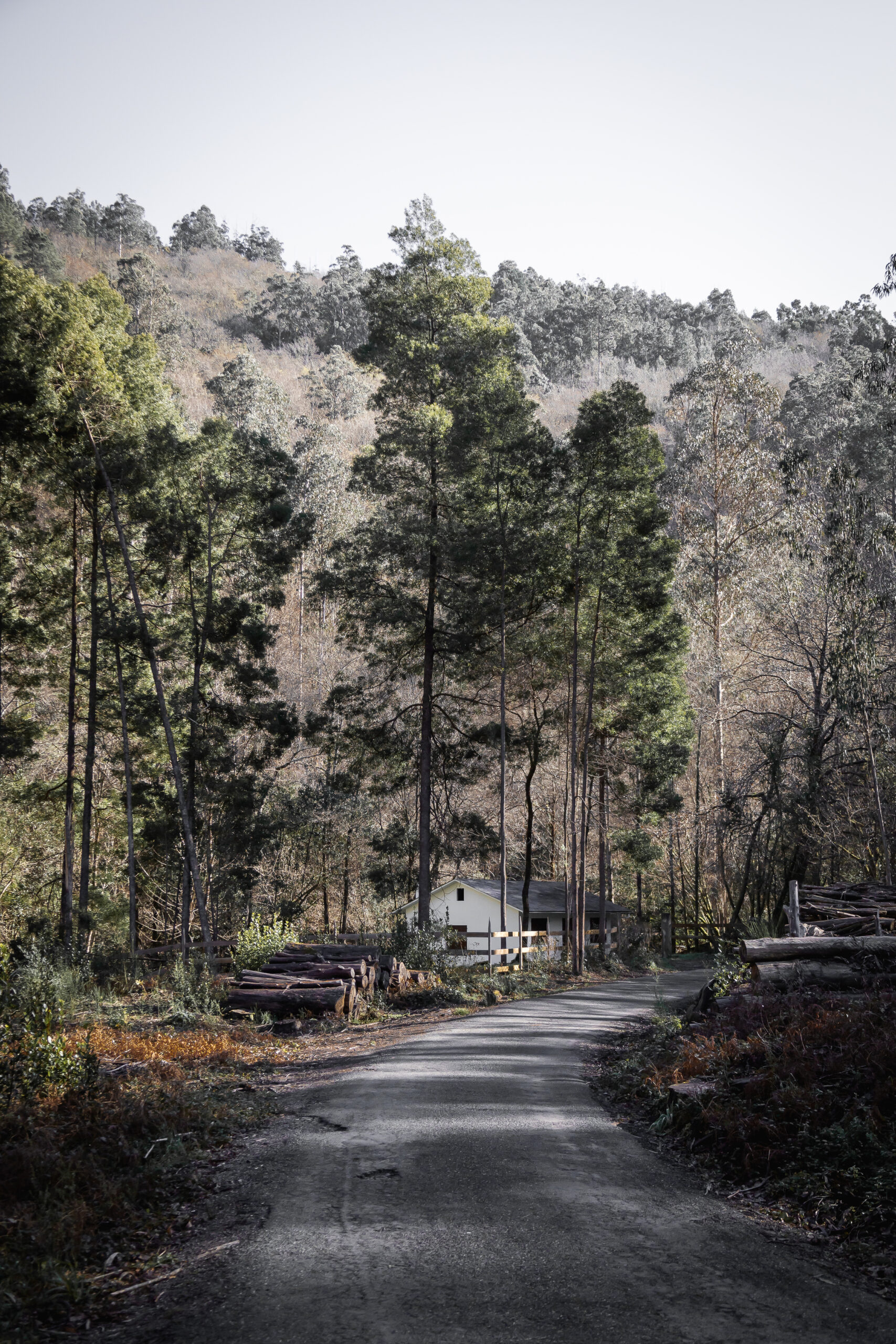 CASAS DO CAMPO - imagen 2